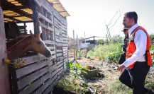 Rescatan animales y realizan limpieza en El Ranchito en Guadalupe