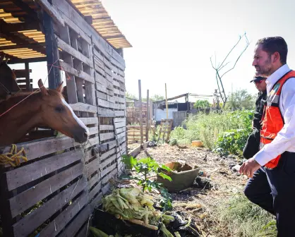 Rescatan animales y realizan limpieza en El Ranchito en Guadalupe