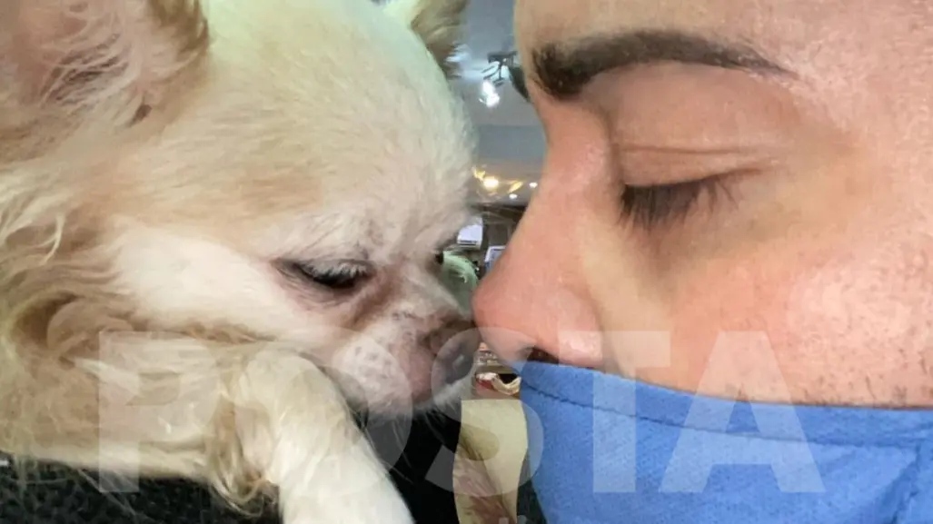 Tiktoker pide justicia por ´Whisper´ y ´Chanel´: Denuncia a veterinaria de Tampico