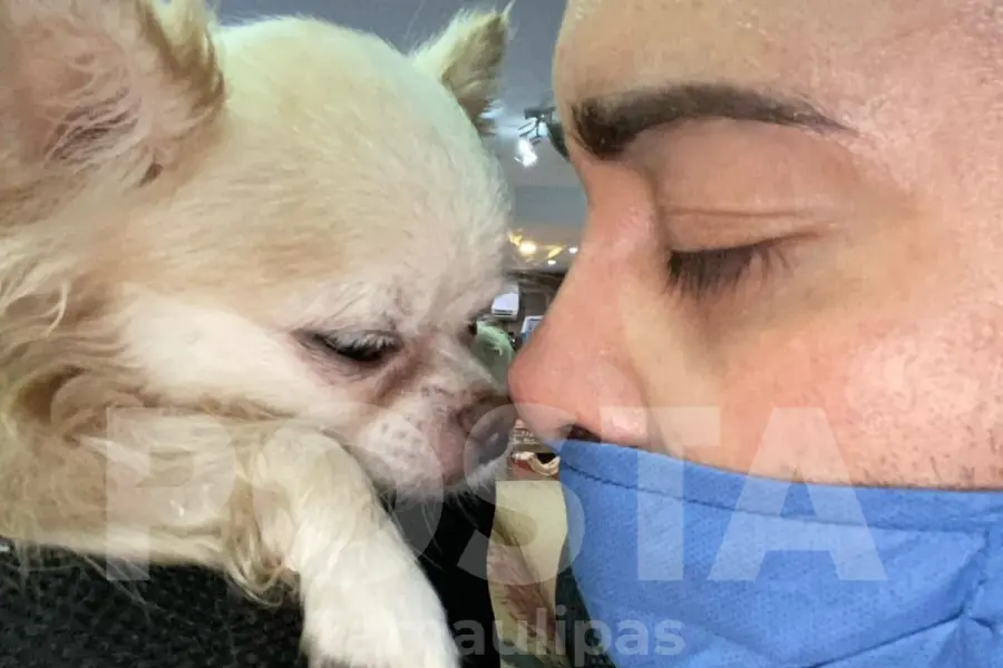Tiktoker pide justicia por ´Whisper´ y ´Chanel´: Denuncia a veterinaria de Tampico