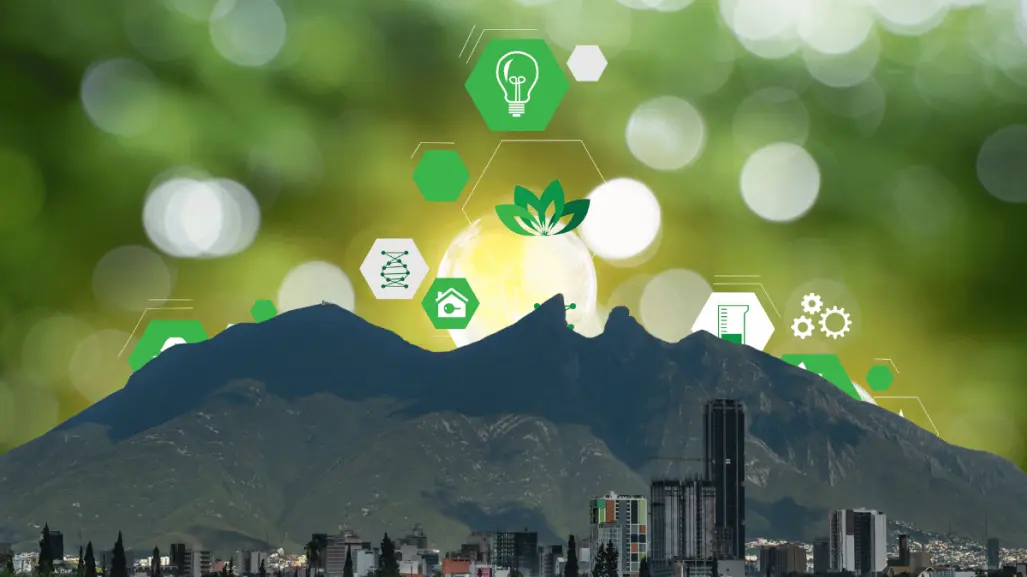 Este negocio de soluciones sustentables nació en Nuevo León y tiene presencia mundial