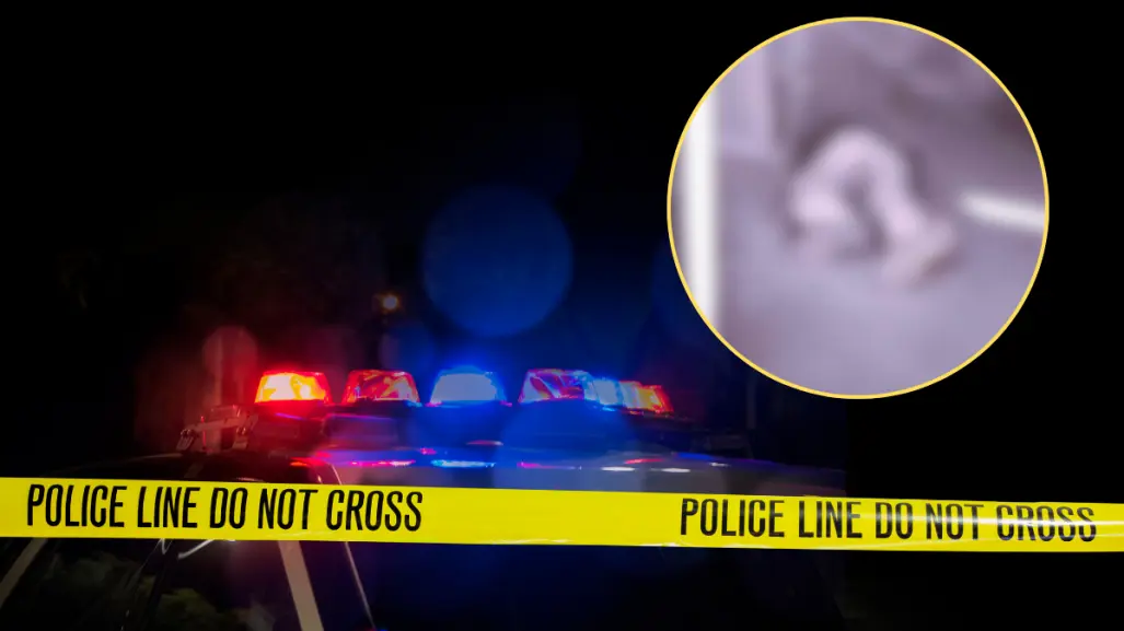 Asesinan a comandante dentro de la Procuraduría en Bahía Tortugas, BCS
