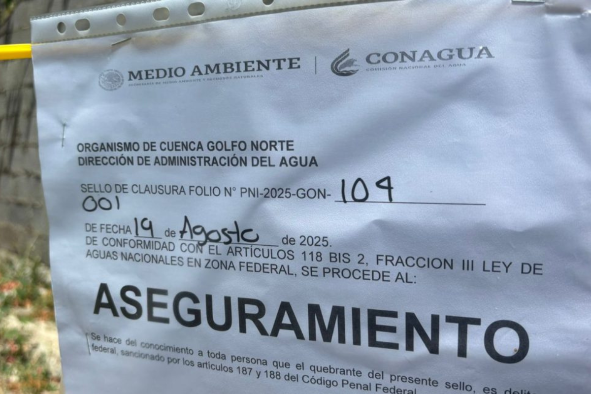 imagen-cuerpo imagen-cuerpo