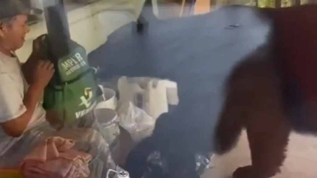 Hombre pelea con un oso por una mochila en Monterrey