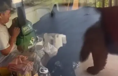 Hombre pelea con un oso por una mochila en Monterrey