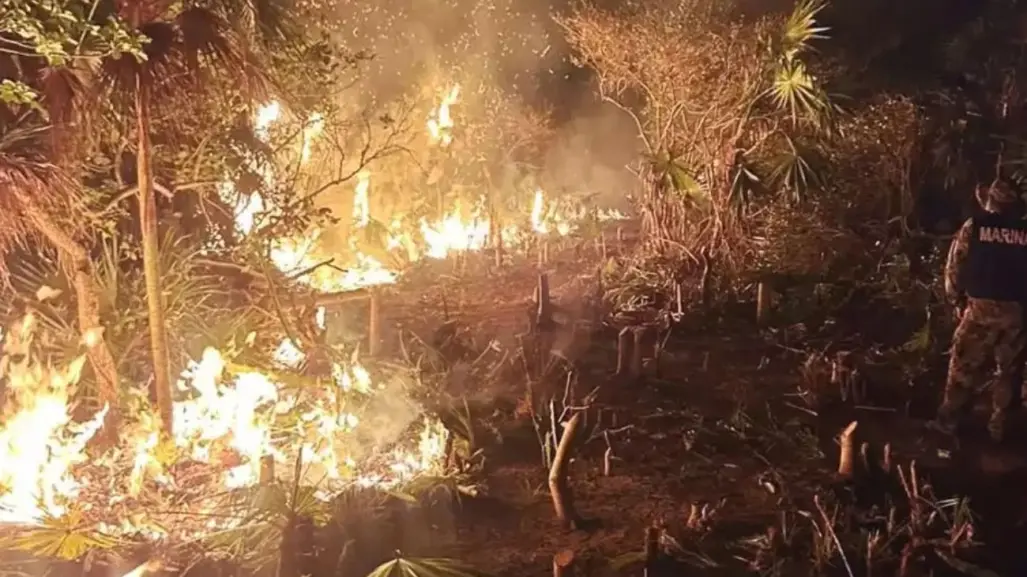 Incendio forestal en la isla de Holbox ha dañado 200 hectáreas
