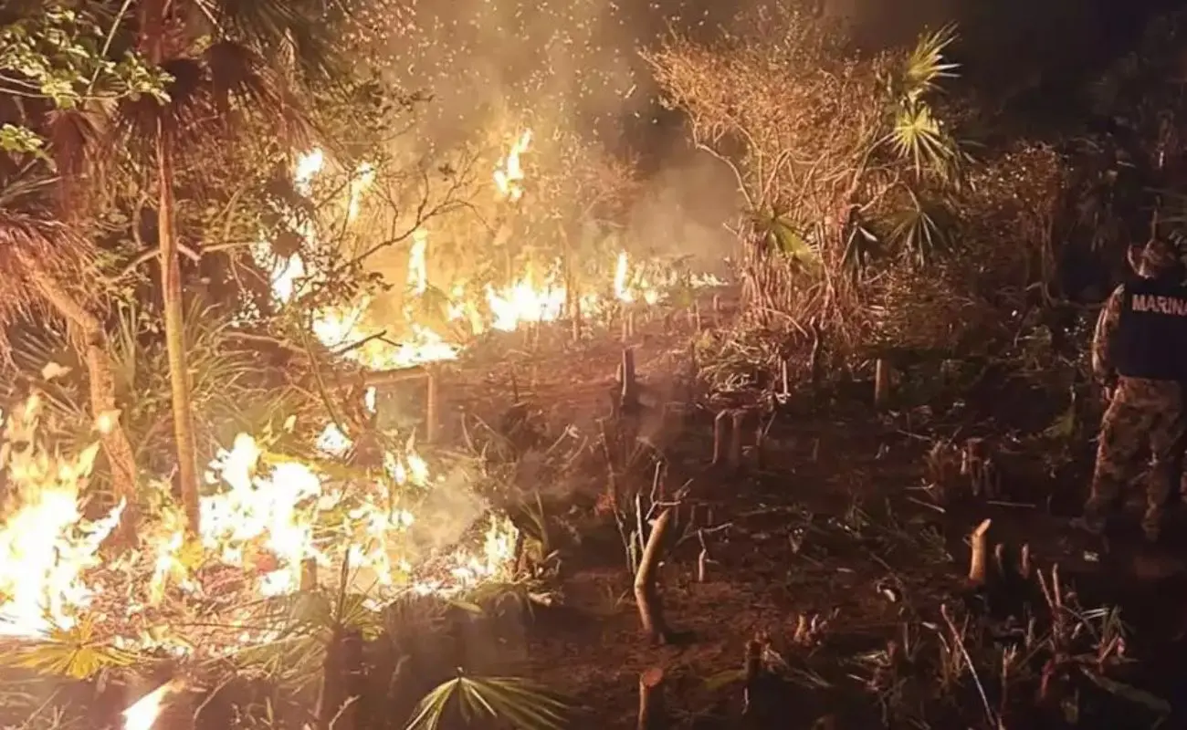 ¿Qué acciones se están tomando para combatir el incendio en Holbox? Foto: Cortesía | Canva