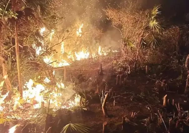Incendio forestal en la isla de Holbox ha dañado 200 hectáreas