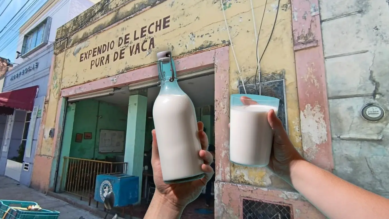 ¿Qué productos se pueden encontrar?. Foto: Canva / Christian Espadas