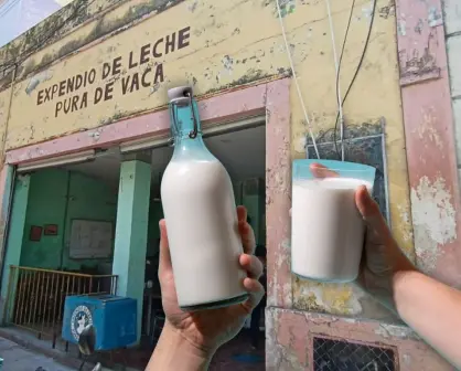 Esta es la lechería con más de 40 años de historia en el centro de Mérida