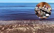 Marea roja en Yucatán: ¿cuál es el estado actual de las playas?