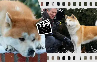 ¿Sin nada qué ver? Esta es la película que más personas ha hecho llorar