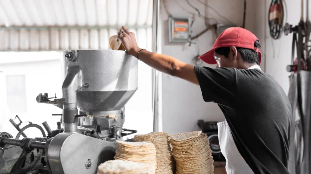 Precio de la tortilla en CDMX se dispara en estas colonias, ¿cuánto costaba y cuánto cuesta ahora?