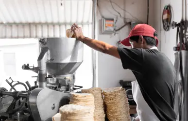 Precio de la tortilla en CDMX se dispara en estas colonias, ¿cuánto costaba y cuánto cuesta ahora?