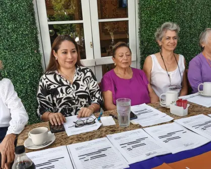 Presentan 11 demandas de amparo para impedir que Luis Armando Mendoza Casanova sea juez