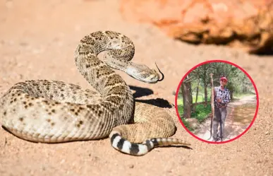 La impresionante víbora de cascabel capturada en Durango por un campesino