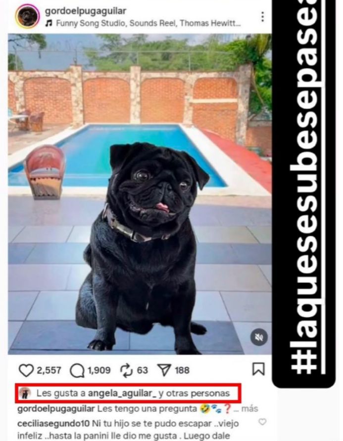 imagen-cuerpo imagen-cuerpo