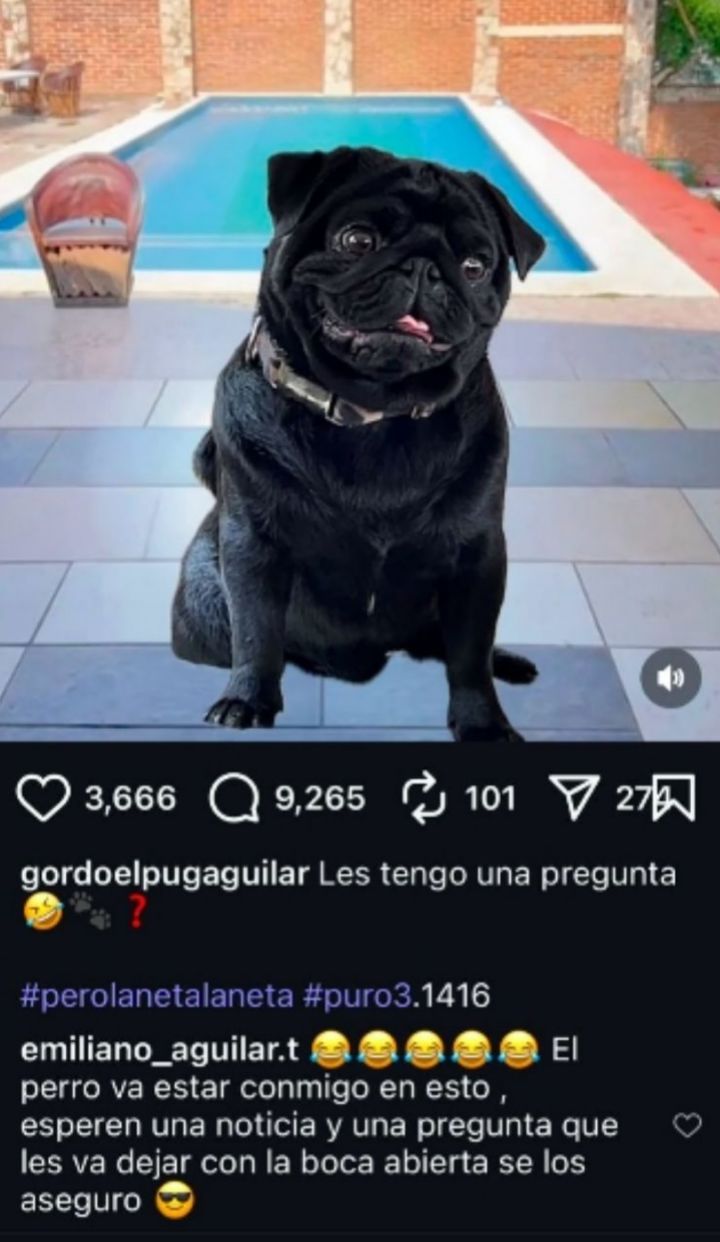 imagen-cuerpo imagen-cuerpo