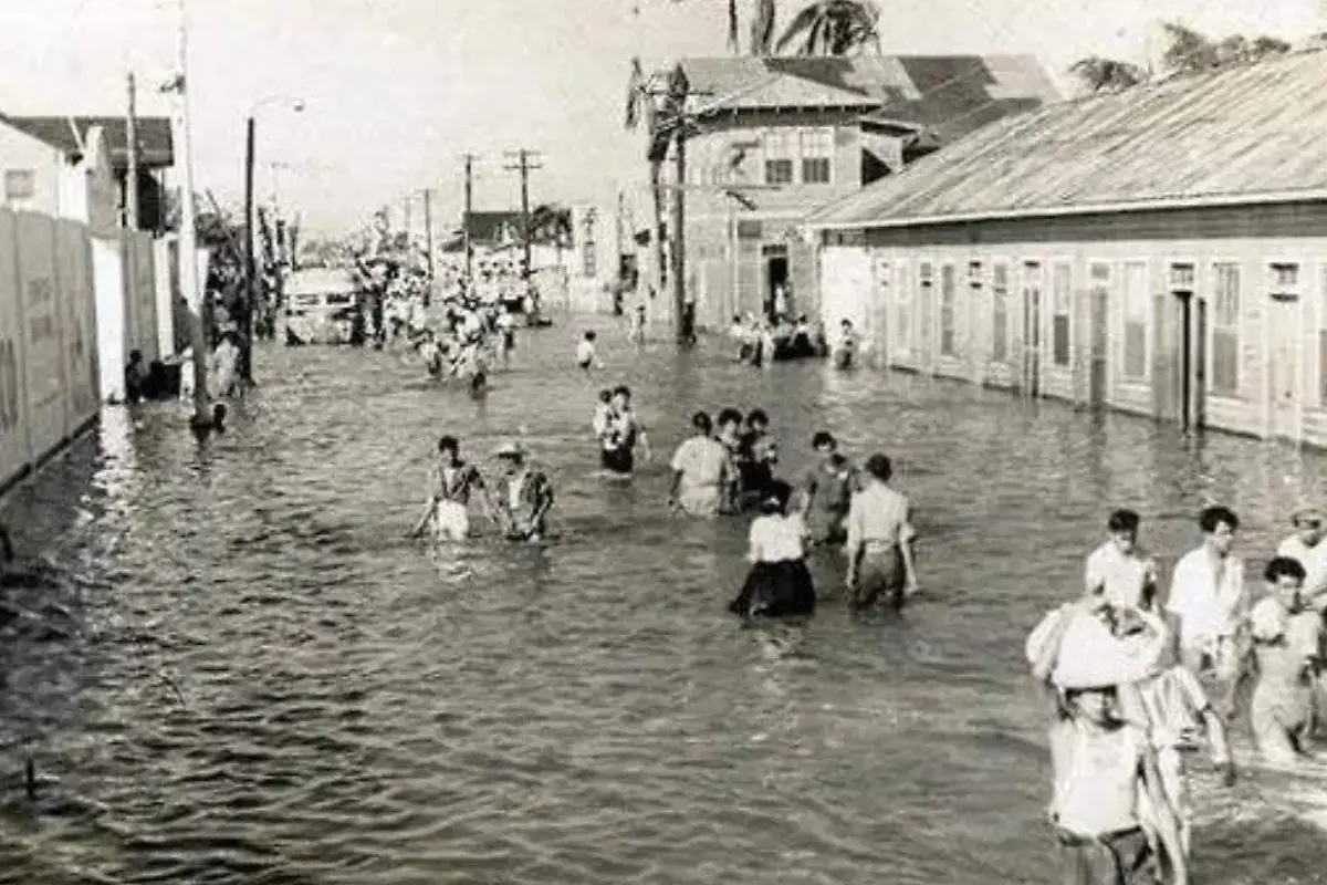 Descubre la historia y el crimen pasional en la calle Alameda de Tampico. Conoce su pasado como primer camino industrial y su relevancia en la ciudad.