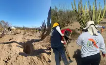 Encuentran cinco nuevas fosas clandestinas en La Paz