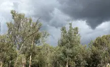 Pronóstico del clima en Durango para el 31 de agosto: ¿continuarán las lluvias?