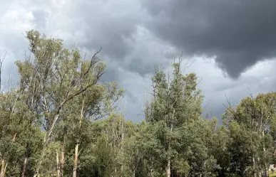 Pronóstico del clima en Durango para el 31 de agosto: ¿continuarán las lluvias?