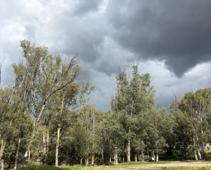 Pronóstico del clima en Durango para el 31 de agosto: ¿continuarán las lluvias?