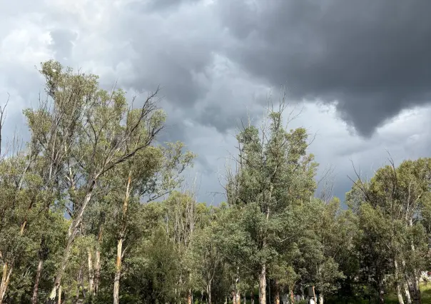 Pronóstico del clima en Durango para el 31 de agosto: ¿continuarán las lluvias?