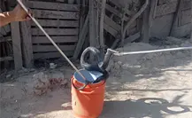 Terror en Escobedo: familia encuentra serpiente gigante en su vivienda Terror en Escobedo: familia encuentra serpiente gigante en su vivienda