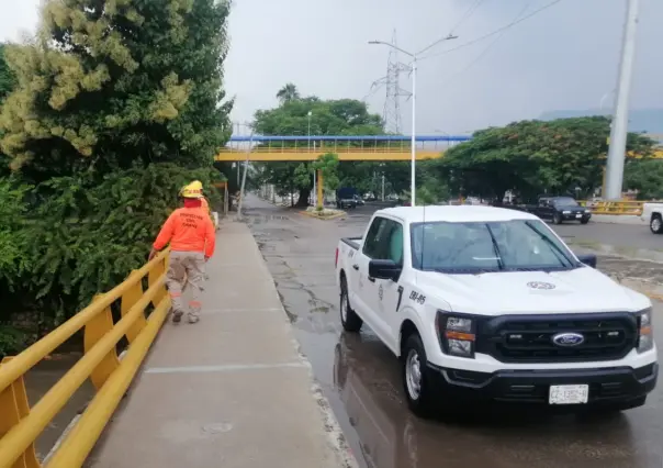 Ciclón Lorena podría formarse en el Pacífico esta semana 
