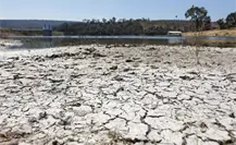 Estas son las ciudades mexicanas más resilientes al cambio climático