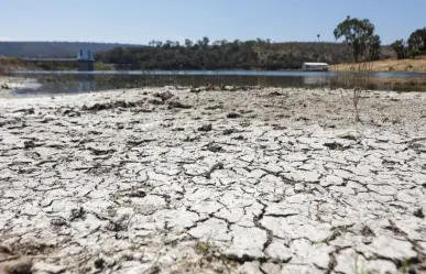 Estas son las ciudades mexicanas más resilientes al cambio climático