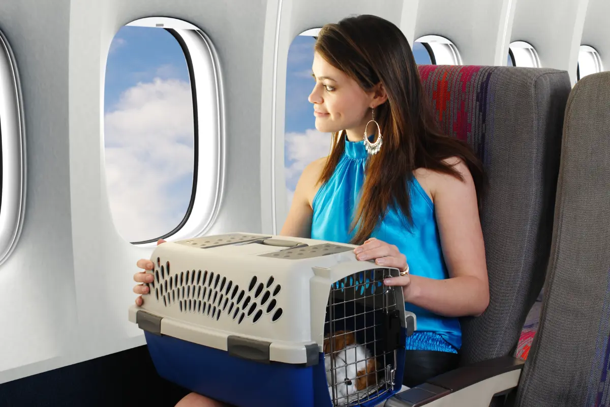 Llevar a tu mascota en un vuelo implica conocer ciertos aspectos para hacer el viaje más cómodo y seguro. Foto: Canva