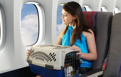 ¡Evita el estrés! Guía práctica para viajar con tu mascota y tener un vuelo tranquilo