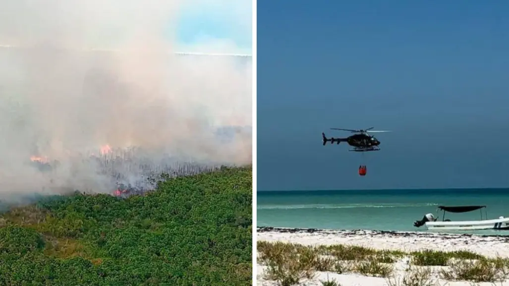 Incendio forestal en Holbox es liquidado en su totalidad tras varios días activo