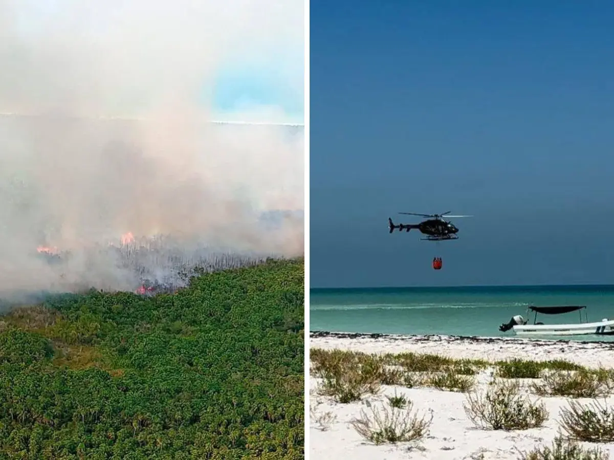 Las autoridades de Holbox informaron que el incendio que estuvo activo durante 6 días se logró sofocar en su totalidad la jornada del domingo afectando unas 400 hectáreas de selva.- Fuente CONAFOR