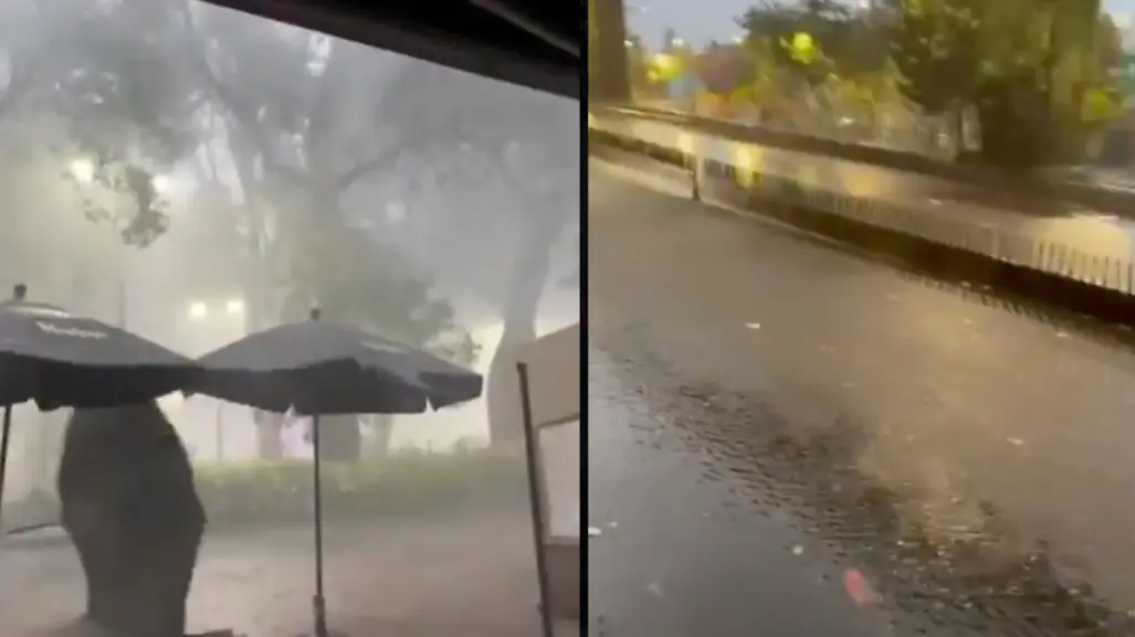 VIDEO | Lluvia intensa provoca inundación en Miguel Ángel de Quevedo y caída de árbol en Coyoacán