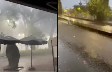 VIDEO | Lluvia intensa provoca inundación en Miguel Ángel de Quevedo y caída de árbol en Coyoacán