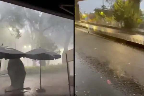 VIDEO | Lluvia intensa provoca inundación en Miguel Ángel de Quevedo y caída de árbol en Coyoacán