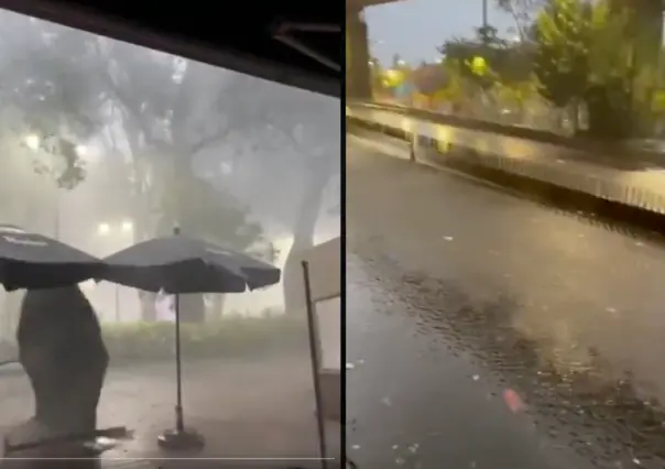 VIDEO | Lluvia intensa provoca inundación en Miguel Ángel de Quevedo y caída de árbol en Coyoacán