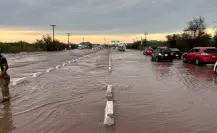 Lluvias en La Paz provocan cortes de luz y sorprendente escena de una vaca en el arroyo