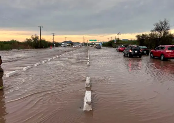 Lluvias en La Paz provocan cortes de luz y sorprendente escena de una vaca en el arroyo