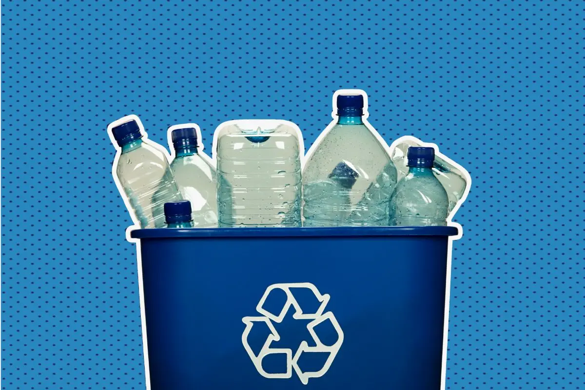 El Gobierno de Monterrey anunció la próxima edición del programa “Recicla y Resuelve”. Foto: CANVA