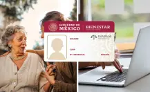 Tarjeta INAPAM: ¿los adultos mayores pueden tramitarla en línea?