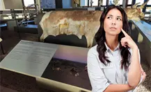 Visita el Museo del Berrendo de Guerrero Negro y conoce esta especie en peligro Visita el Museo del Berrendo de Guerrero Negro y conoce esta especie en peligro