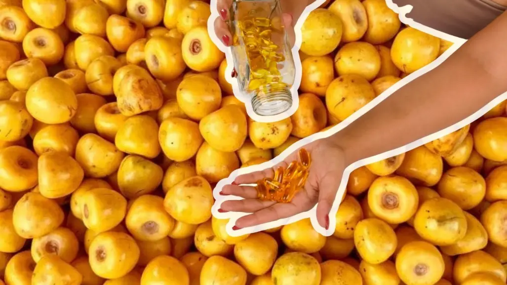 La fruta nativa de Yucatán que es rica en vitamina C, ideal para reforzar tus defensas