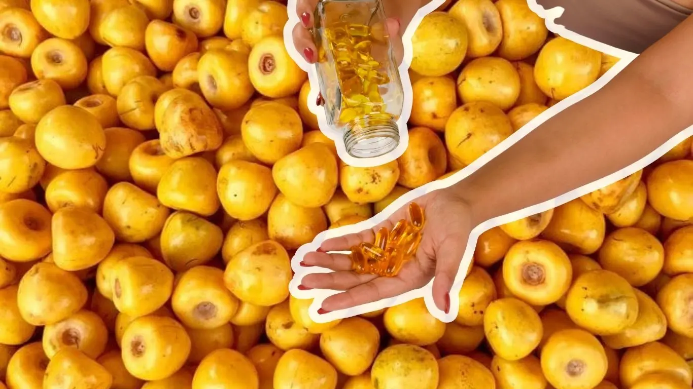 ¿Qué es el nance y por qué es tan especial?. Foto: Canva / Lacosine