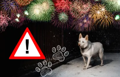5 tips para calmar a tu perro durante la pirotecnia del Grito de Independencia 2025