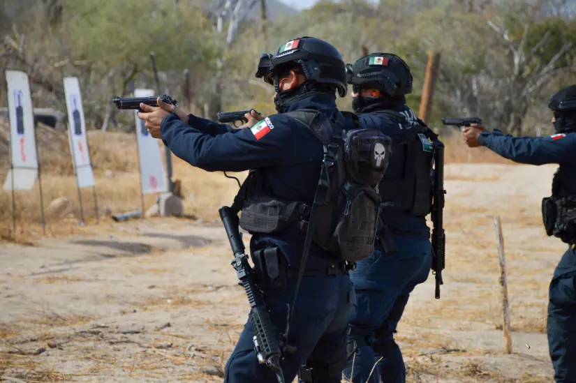 Foto Ilustrativa: Seguridad Estatal.