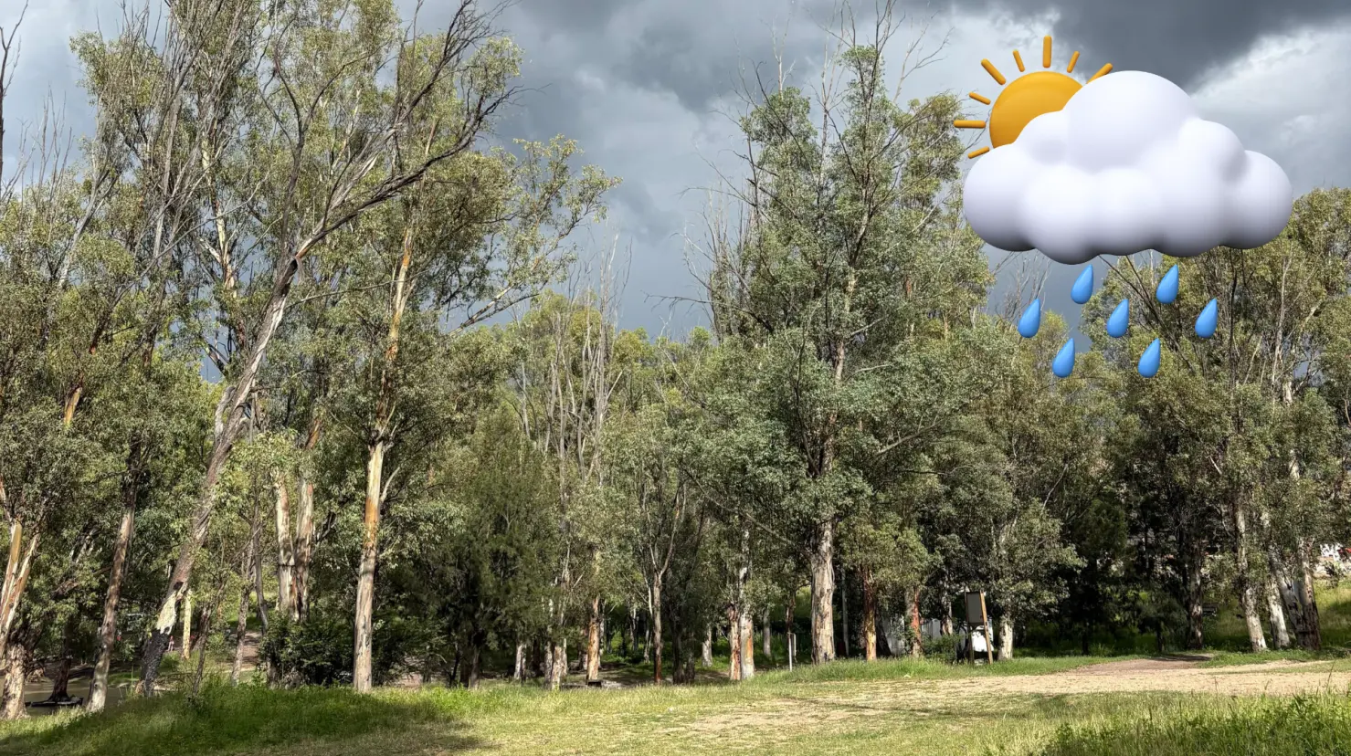 La Conagua pronostica lluvias para este martes 2 de septiembre. Foto: Ale Hernández.